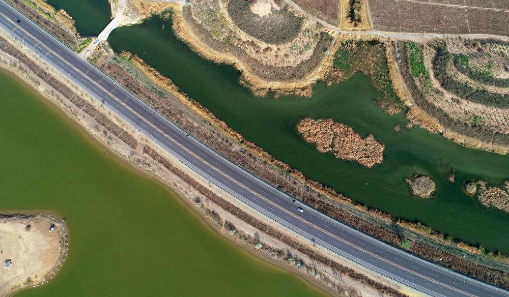 寧夏銀川：凈化修復“濕地綠腎” 守護黃河生態安全